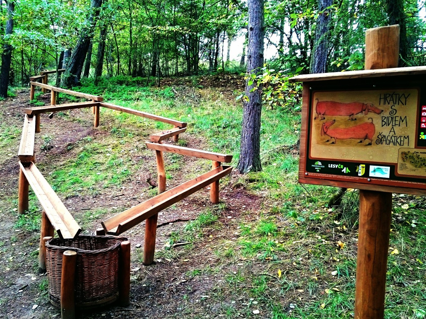forest trail zlutice