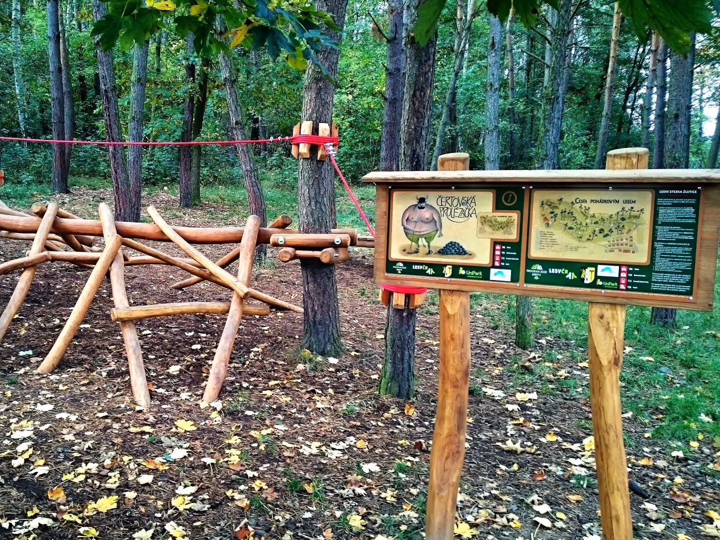 forest trail zlutice