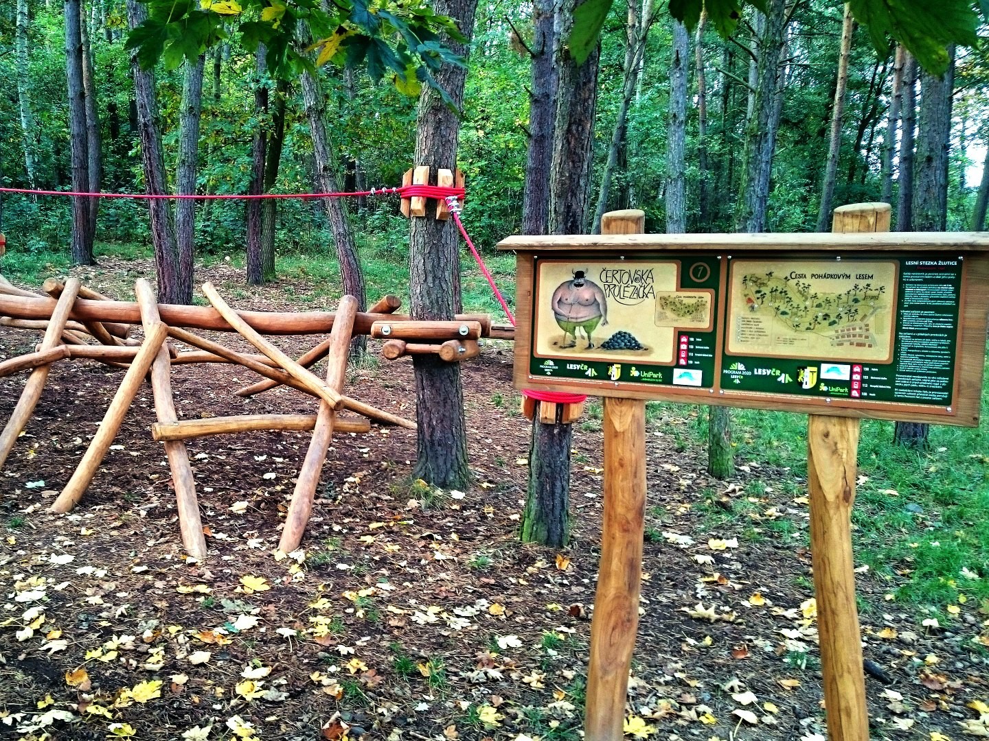 forest trail zlutice