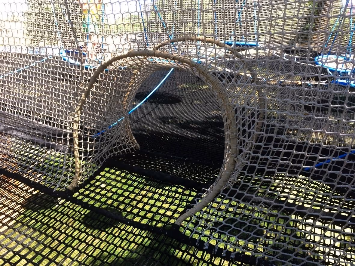 net attraction rolava
