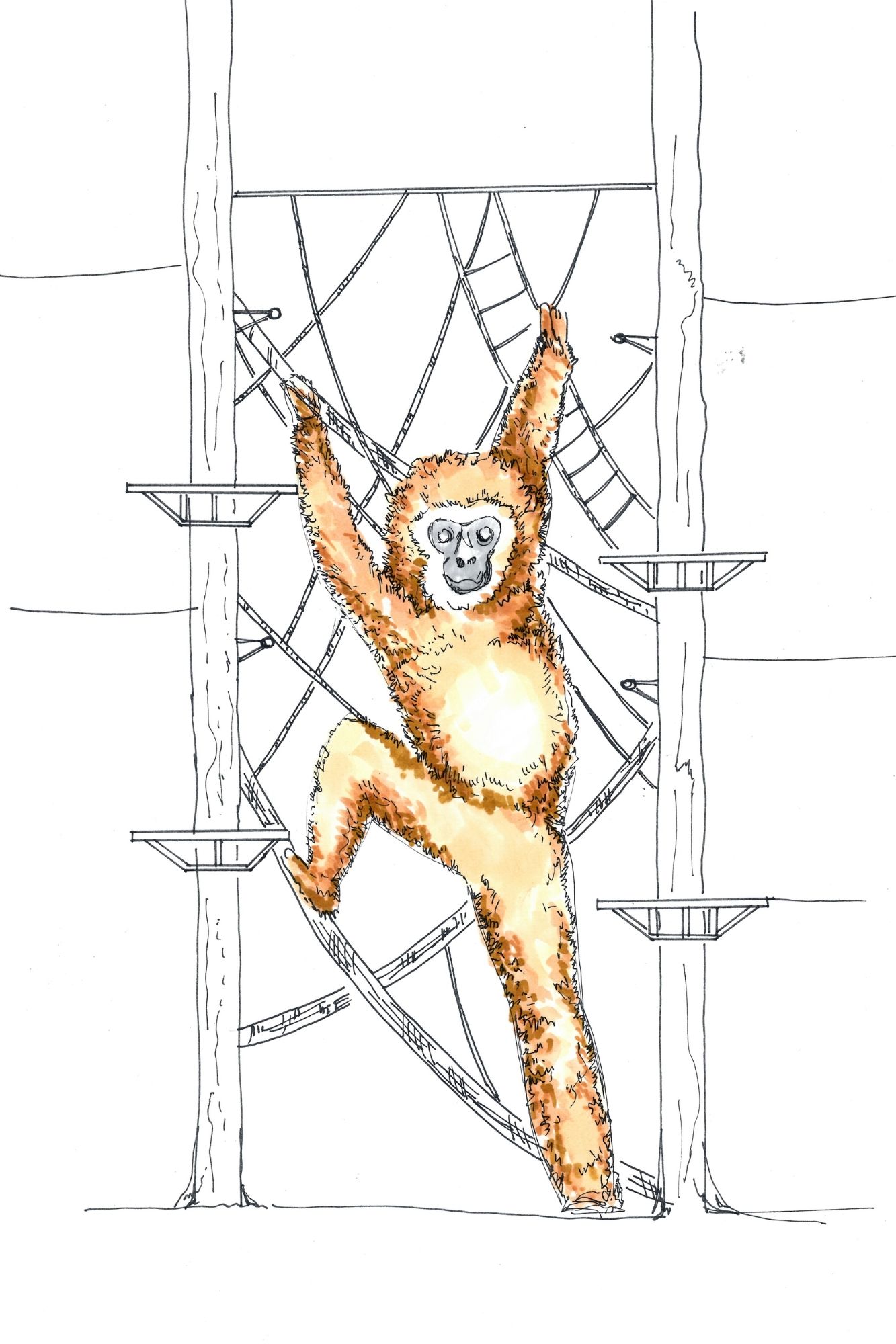 Zážitkový park v Číně