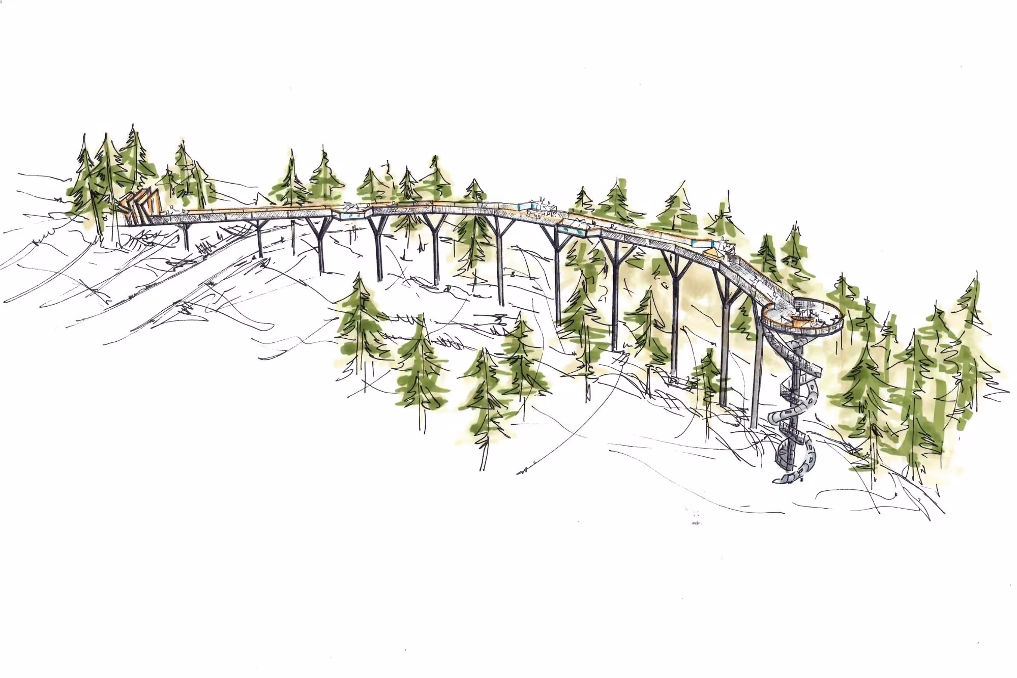 Treetop walkway with viewing tower