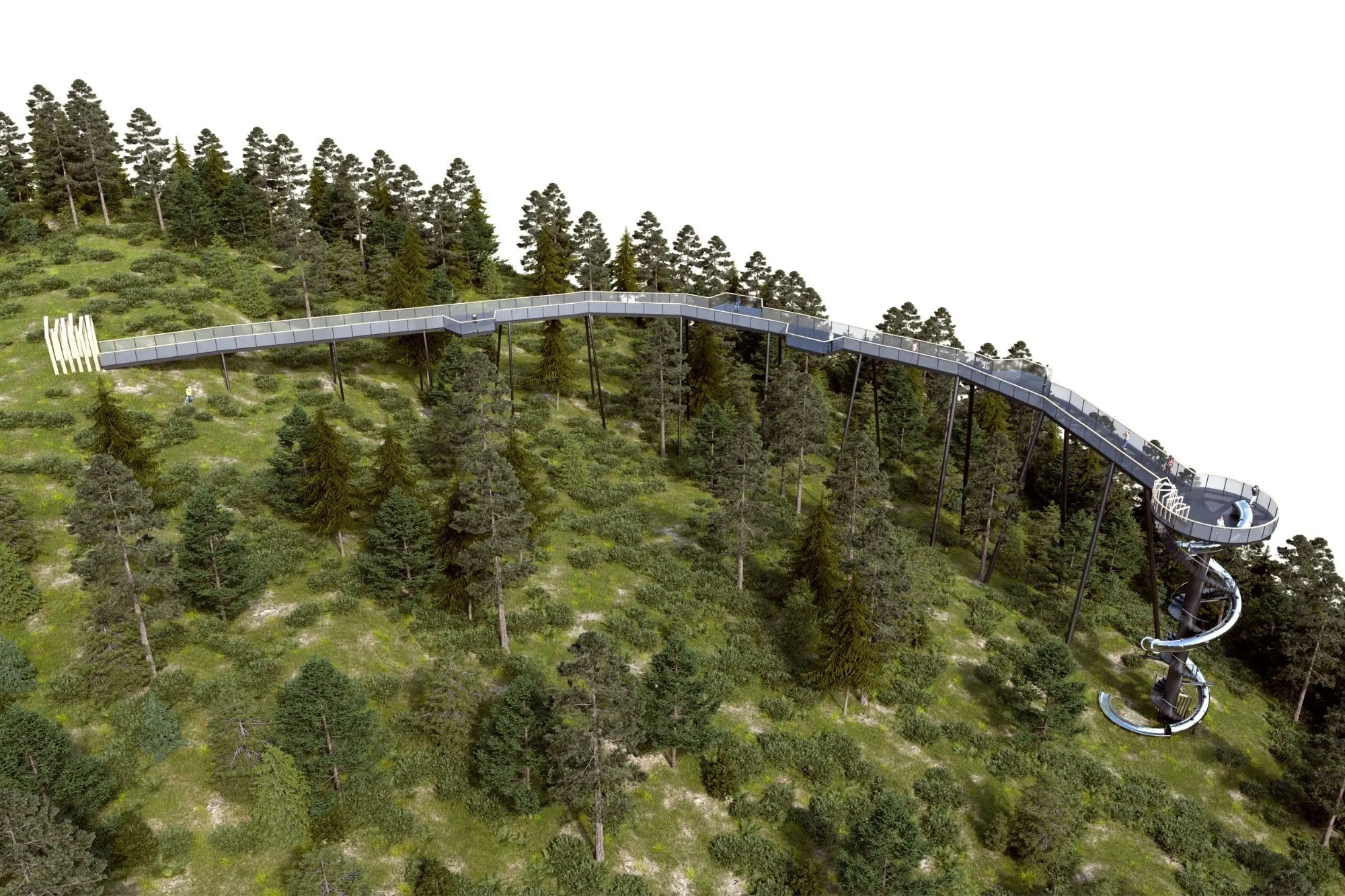 Treetop walkway with viewing tower