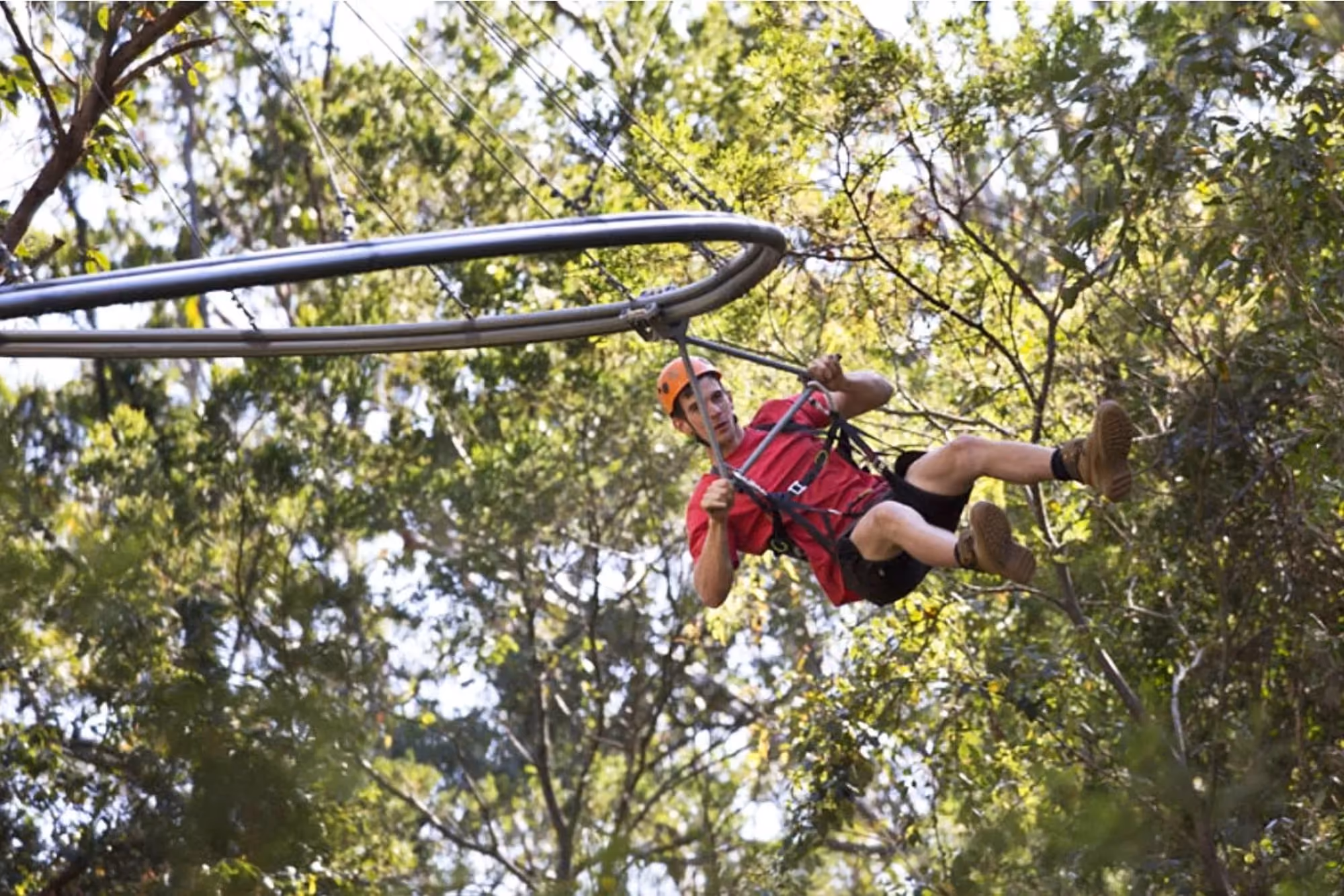 zipline with curves