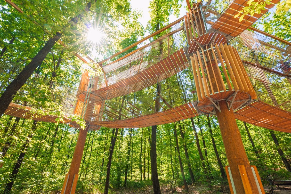 Wooden 3D maze in Chrudim with net-enclosed walkways among trees, built to replace a rope course