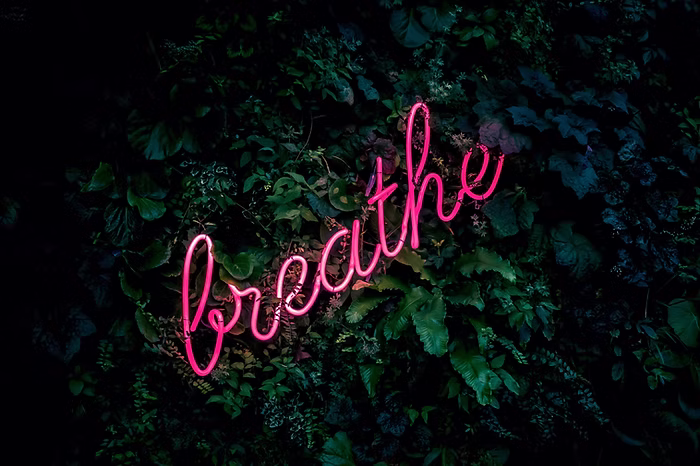 The word breathe written in pink neon against a dark green hedge