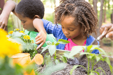 Children in the garden planting seeds, enjoying the quiet