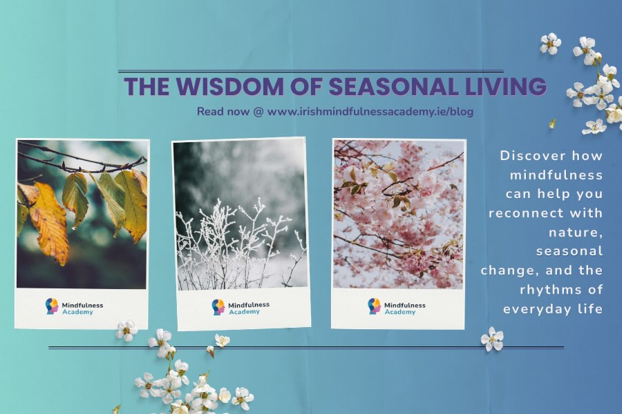 The wisdom of seasonal living showing how mindfulness can be used throughout the year