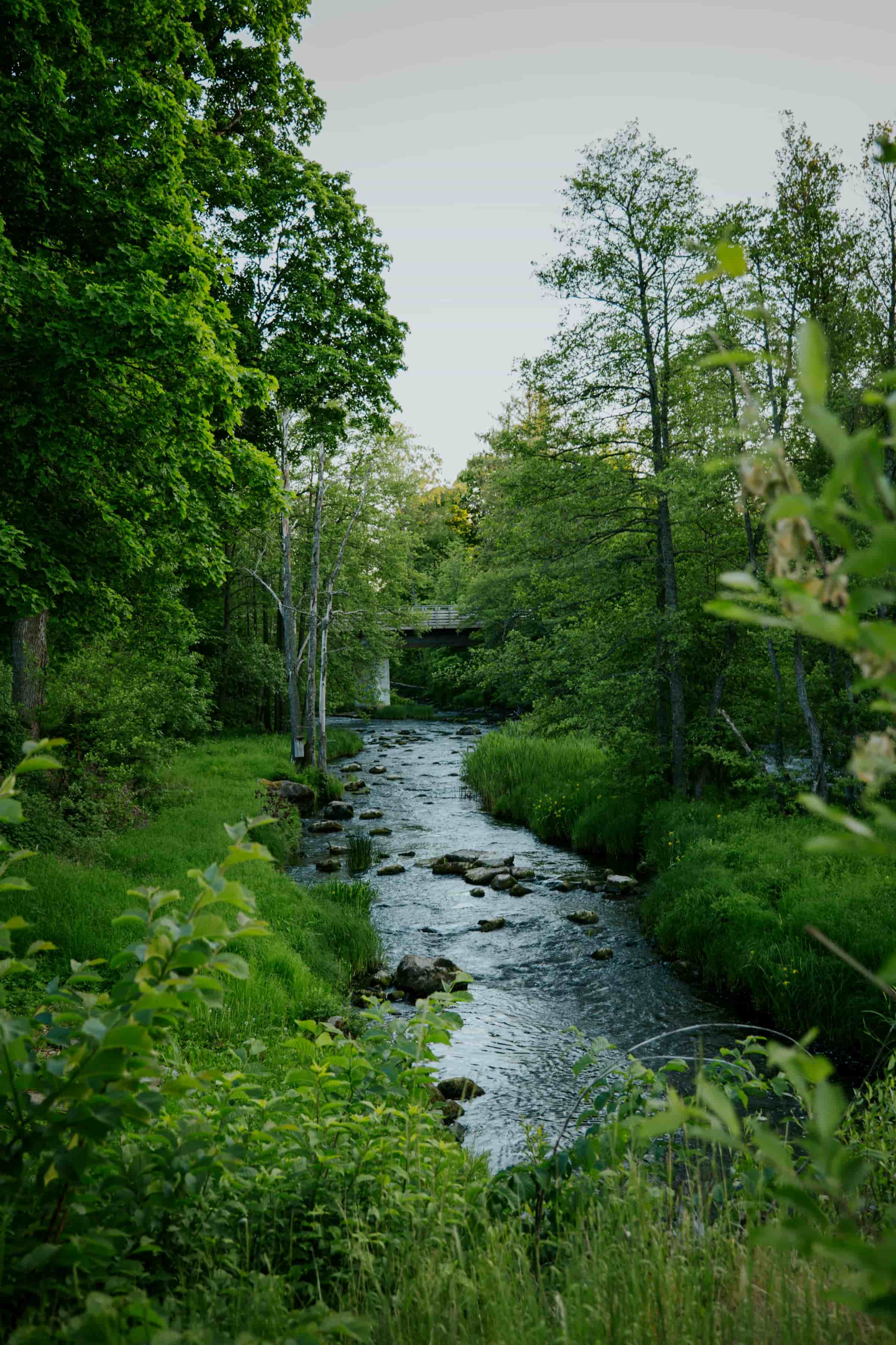 Ruisseau de Saint-Clair
