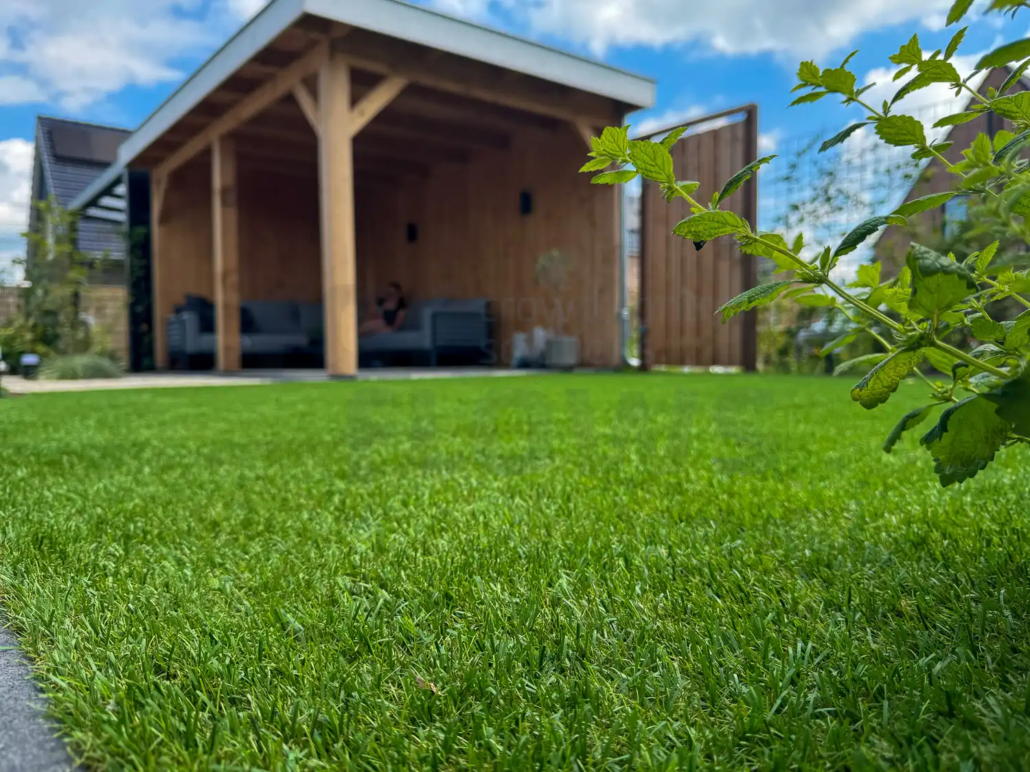 Garden with artificial grass and a canopy