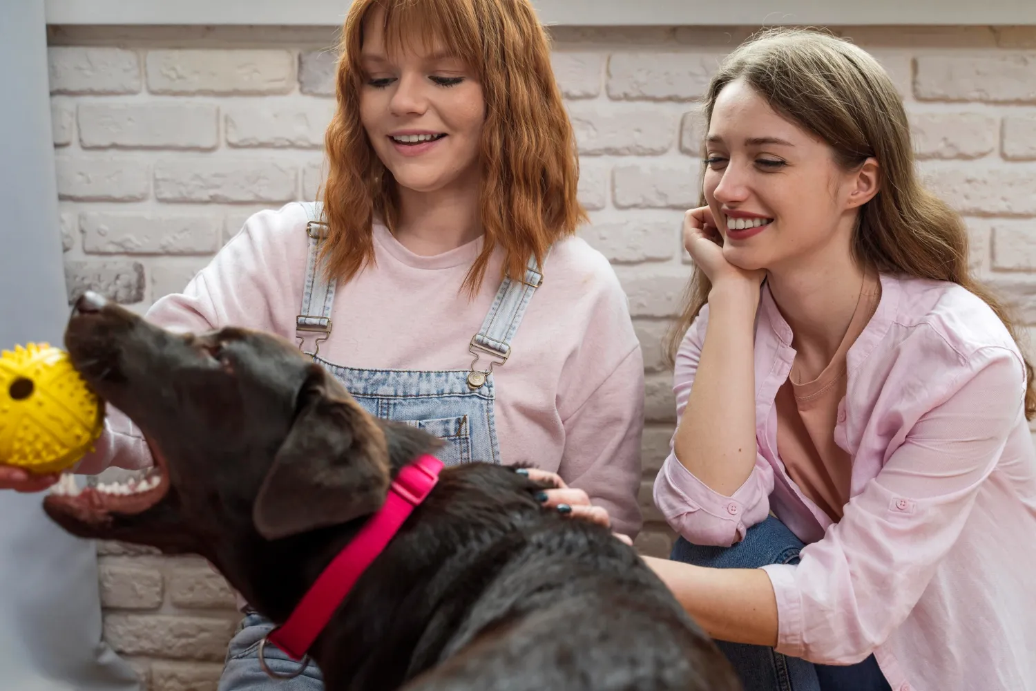 Two women sitting on a couch petting a dog.