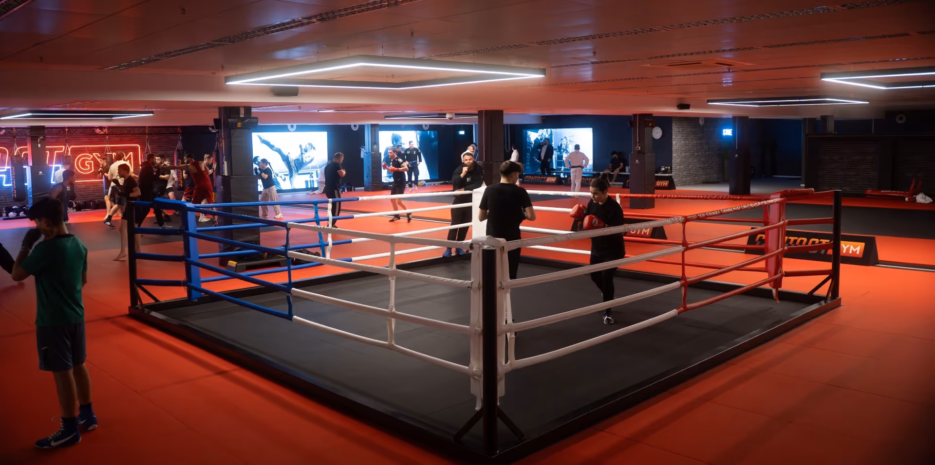 Kampfsporterea mit Boxsäcken und Kampfsportring