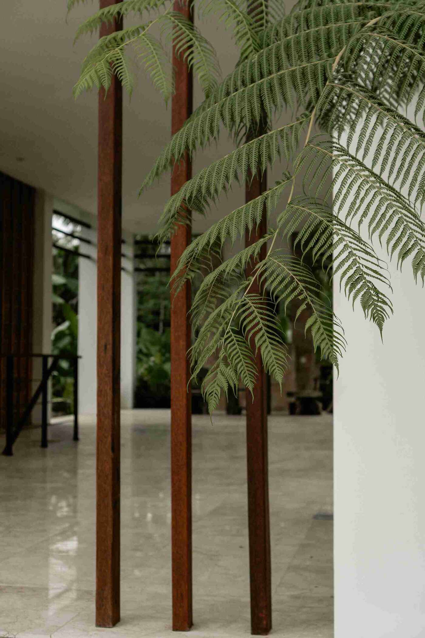 Ein moderner Eingangsbereich mit eleganten Holzsäulen und einer grünen Farnpflanze im Vordergrund. Der Boden ist aus poliertem Stein, und im Hintergrund ist eine ruhige, grüne Landschaft sichtbar. Ideal für eine Ferienwohnung oder als Inspiration für Airbnb-Vermieter.