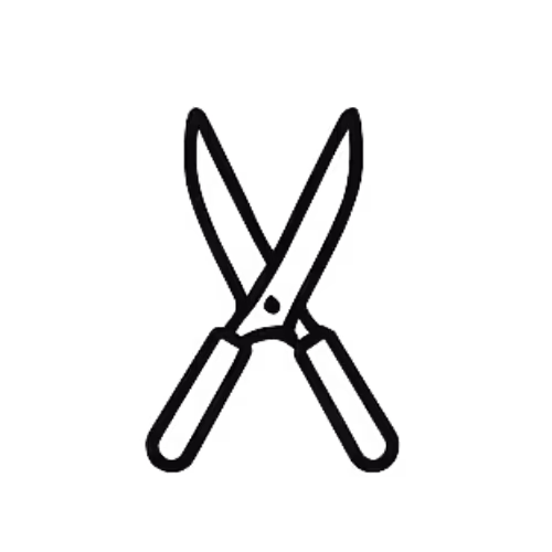Scissors