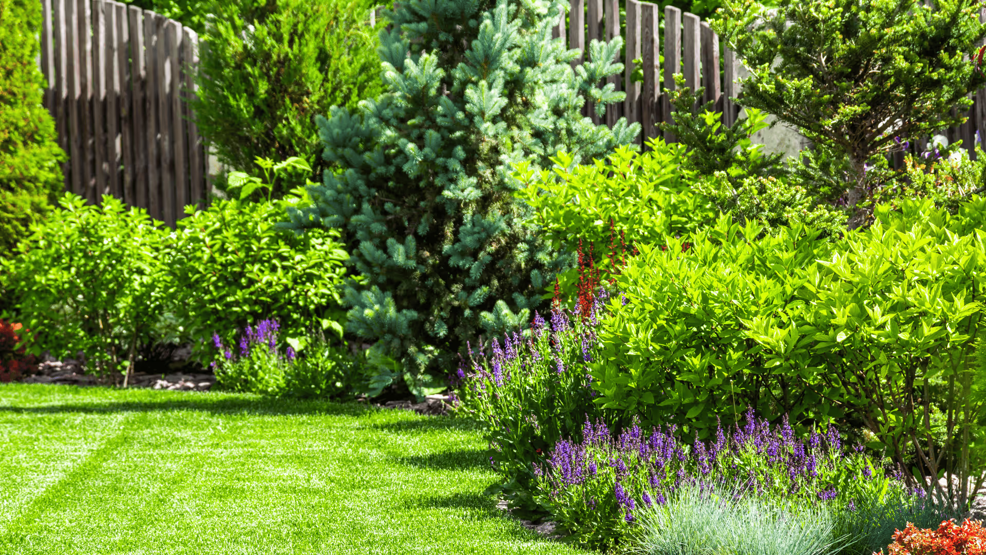 A beautiful garden with flower