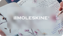 Moleskin