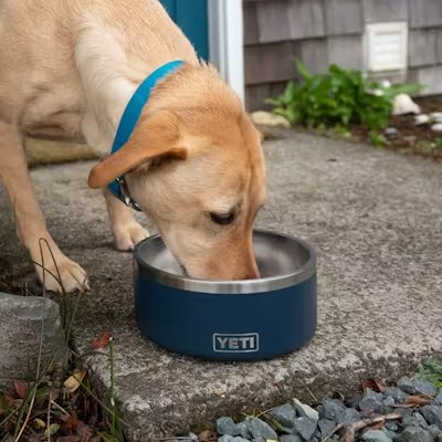 Yeti Dog Bowl