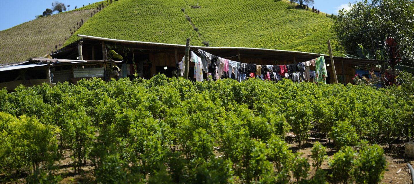 Colombia y el Clan del Golfo cerraron en Qatar su primera ronda de diálogo 