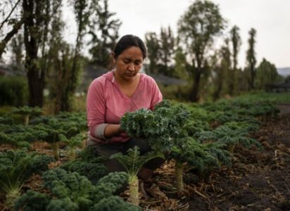 Un grupo de mujeres lidera la defensa de las chinampas de Ciudad de México