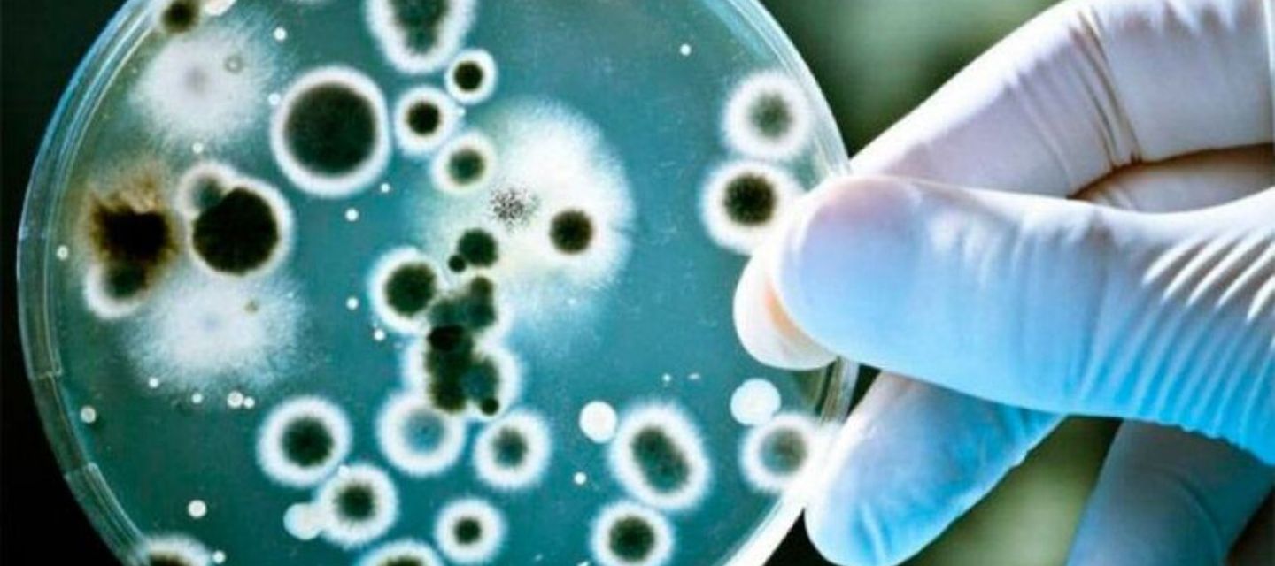 El mal uso de los antibióticos impulsa bacterias que ya no responden a los tratamientos.