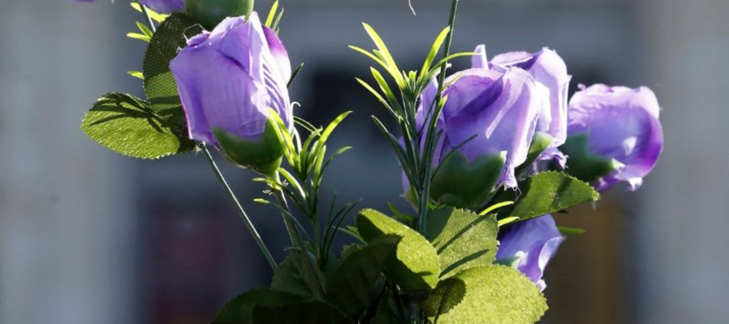 Bolivia aprobó una ley que brinda apoyo económico y protección a menores huérfanos por feminicidio