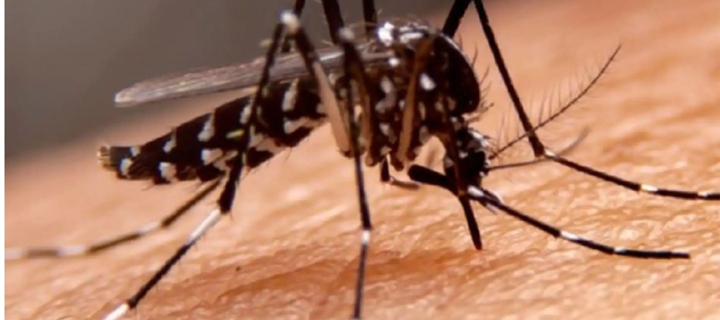Cuba supera los 47.000 ingresos por dengue o chikunguña
