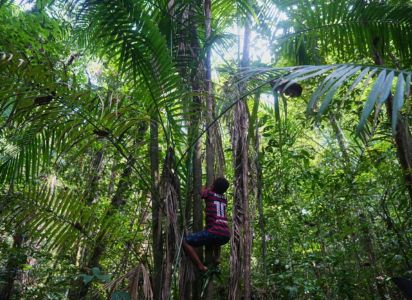 Quilombos exigen títulos para proteger su tierra