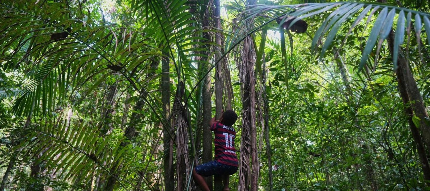 Quilombos exigen títulos para proteger su tierra