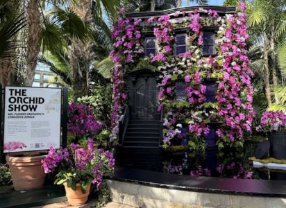 ‍Miles de orquídeas transforman el Jardín Botánico de Nueva York 