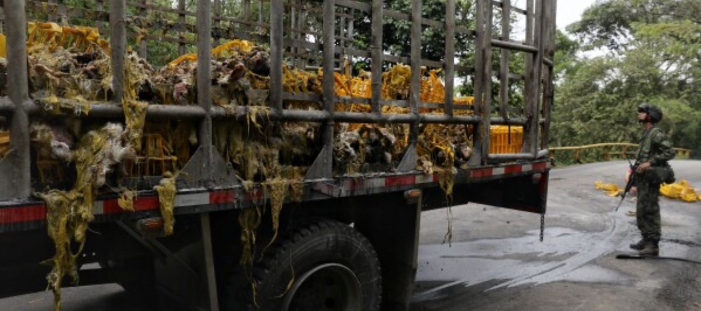 Una ola de ataques con explosivos en el suroeste de Colombia deja decenas de víctimas