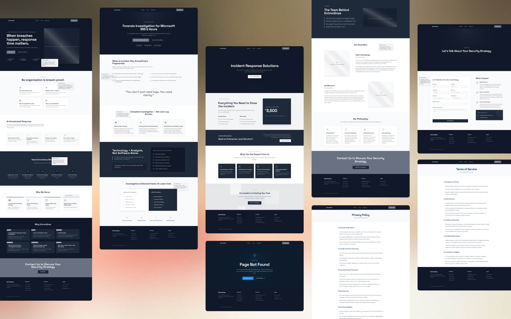 Extrordinas wireframes.