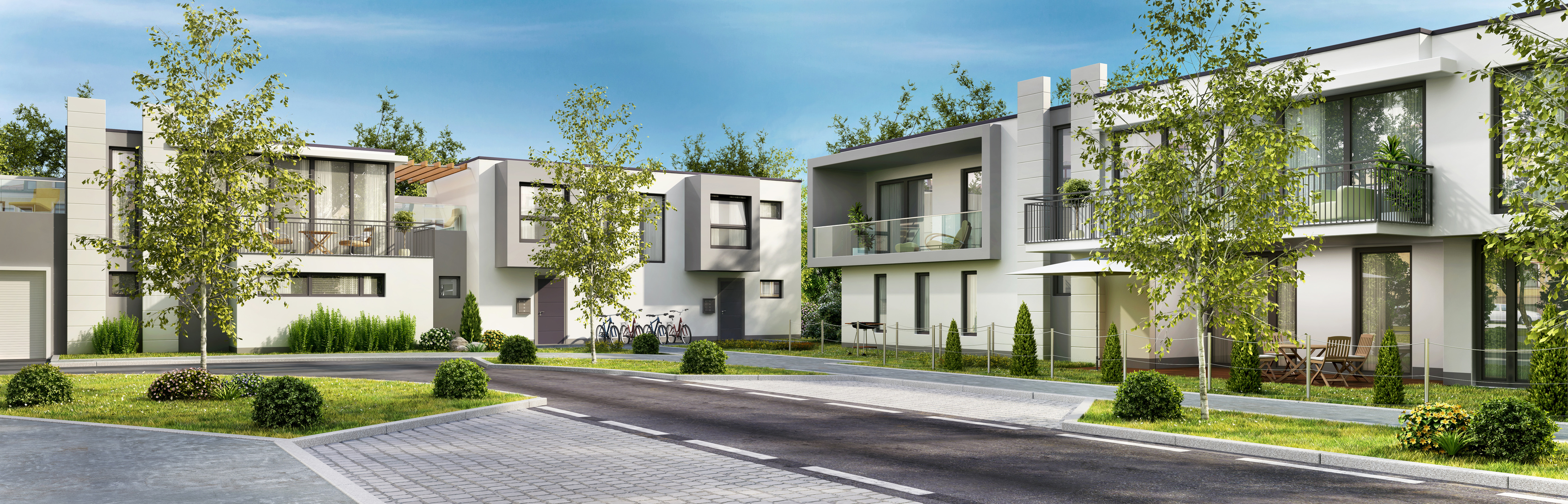 Portfolio Image