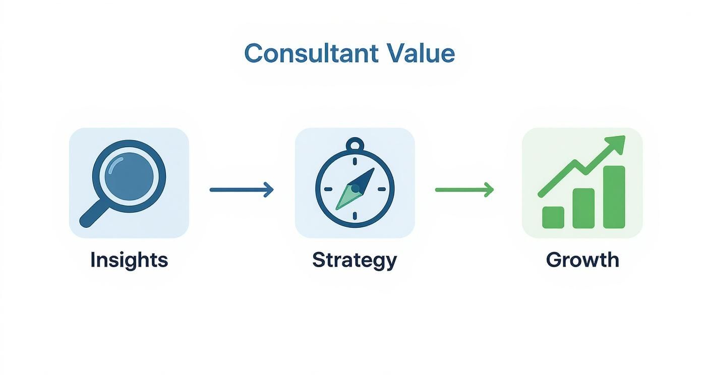 Infographic about web analytics consulting