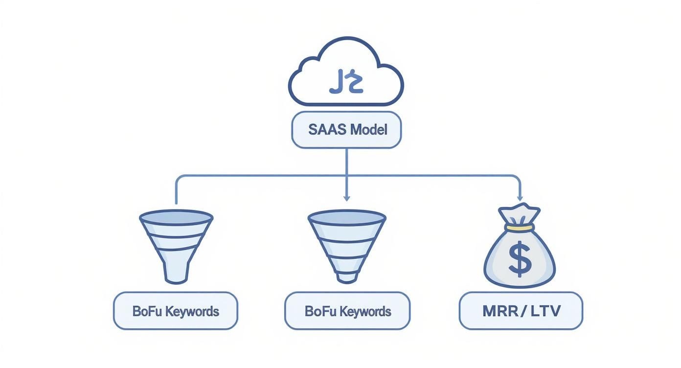 Infographic about saas seo services