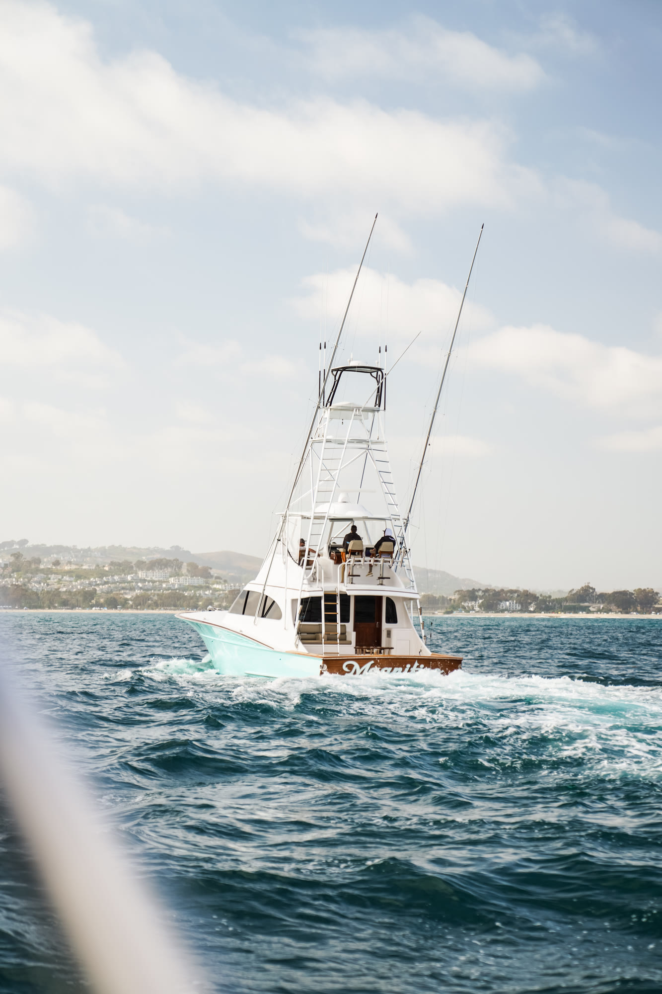 magnifico 31