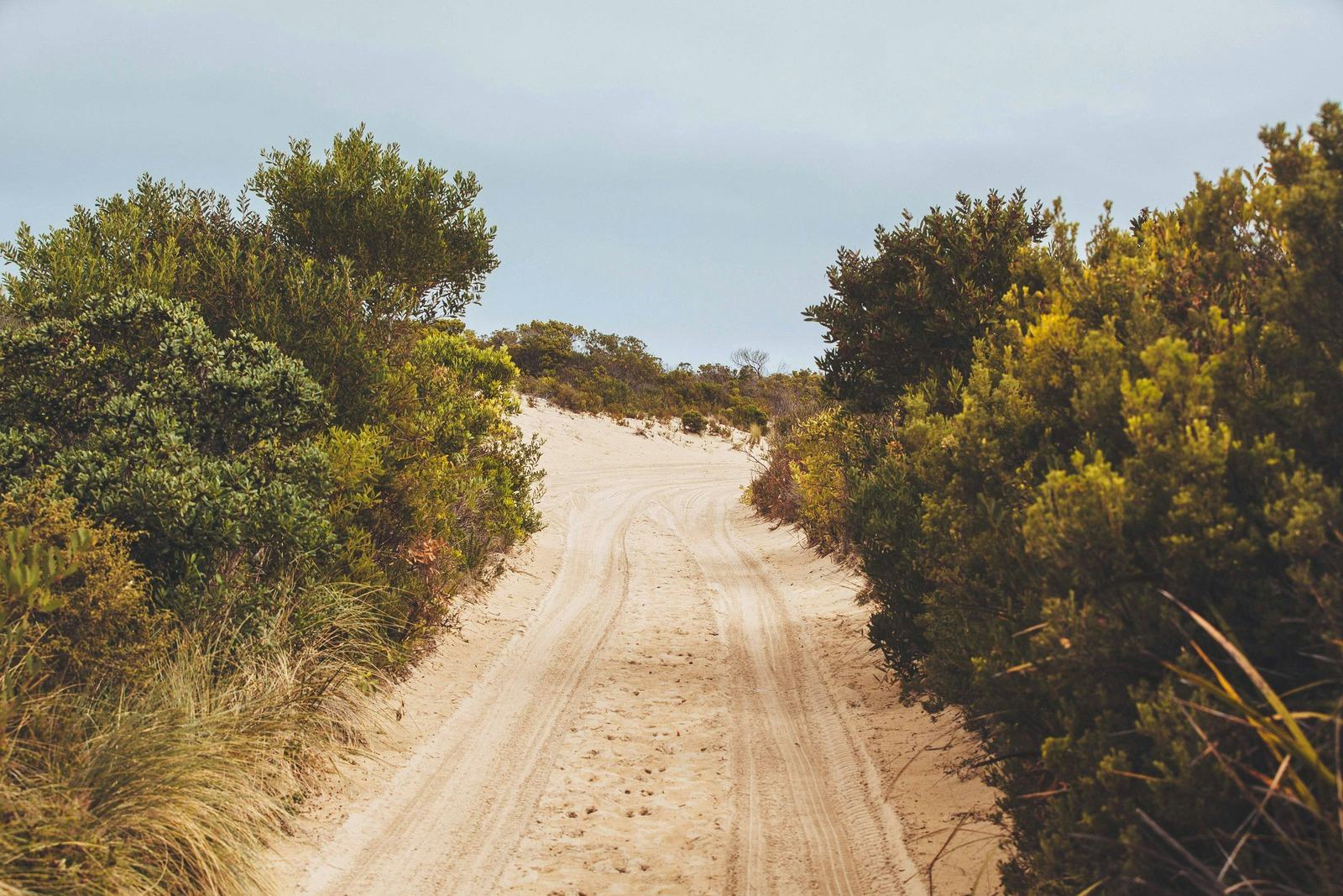 Sandy path between green bushes under a clear gray sky.