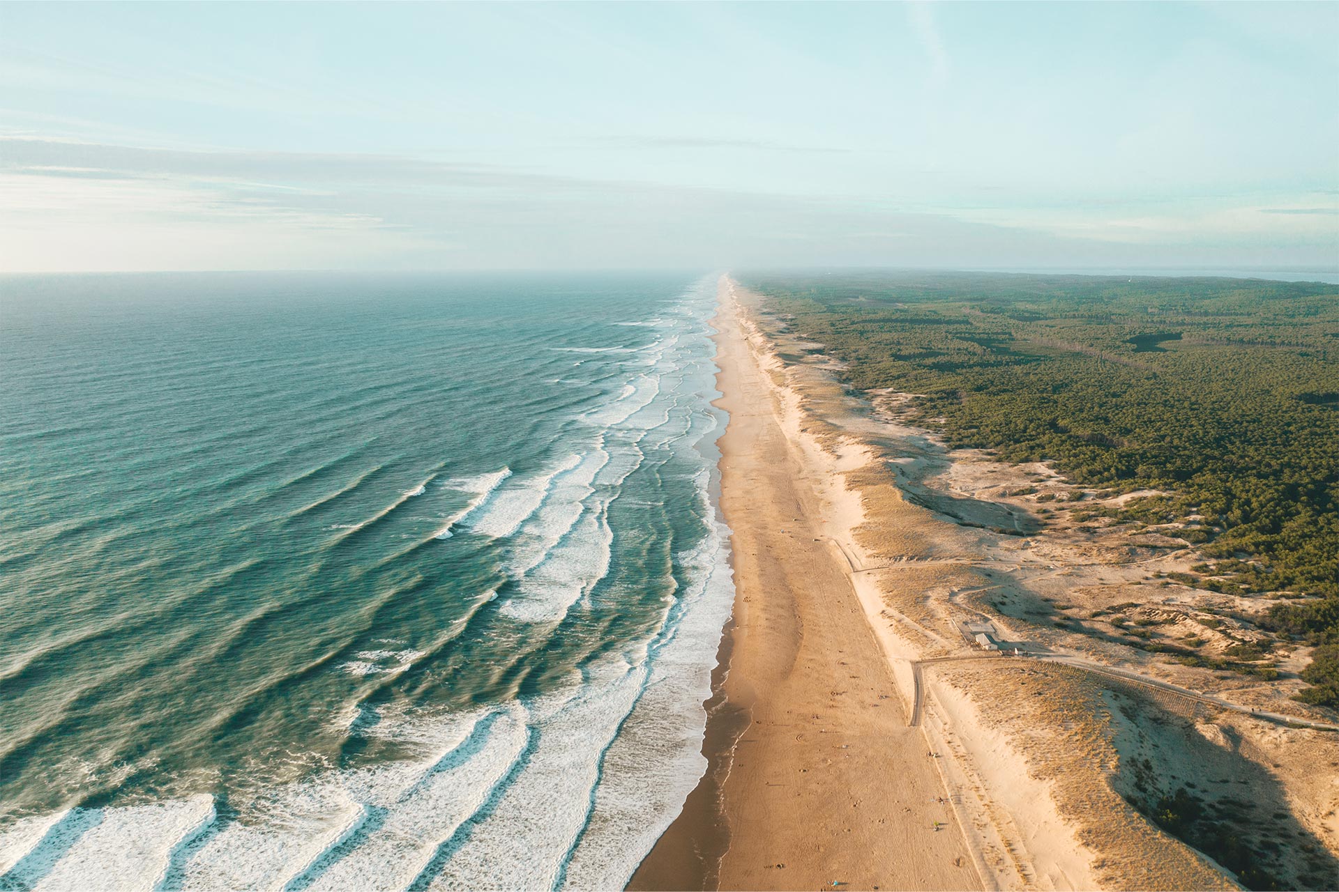 Blick auf einen Sandstrand, der links vom Meer und rechts von einem dichten Wald begrenzt wird 