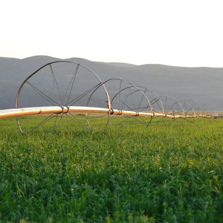 Soil Analysis Ilustration