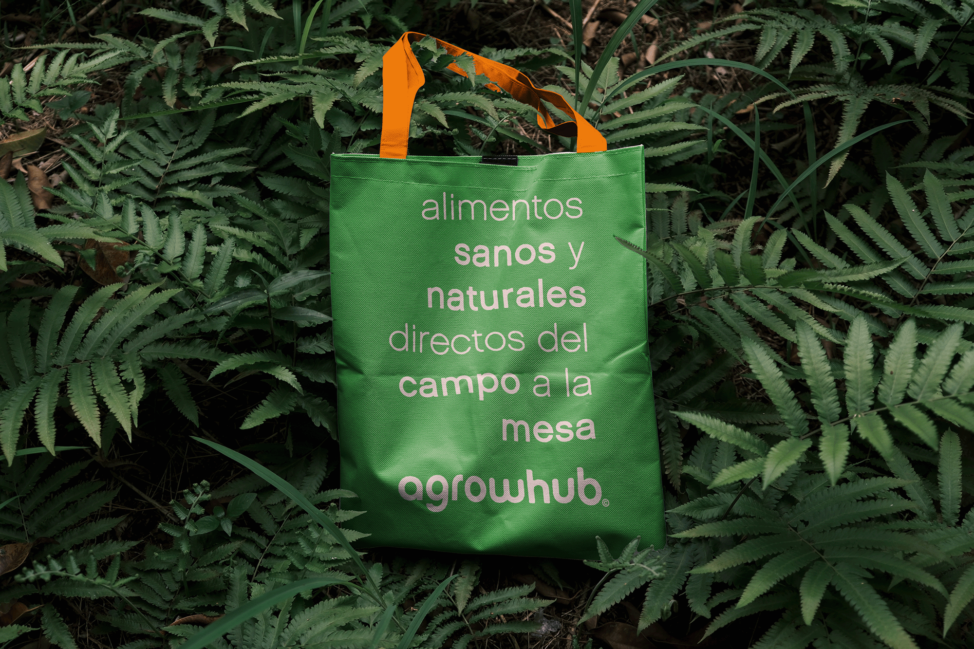 How It Works Illustration