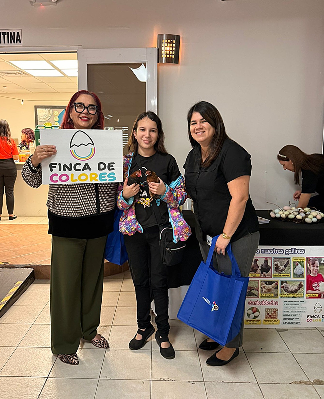 Exhibidores de la Finca de Colores
