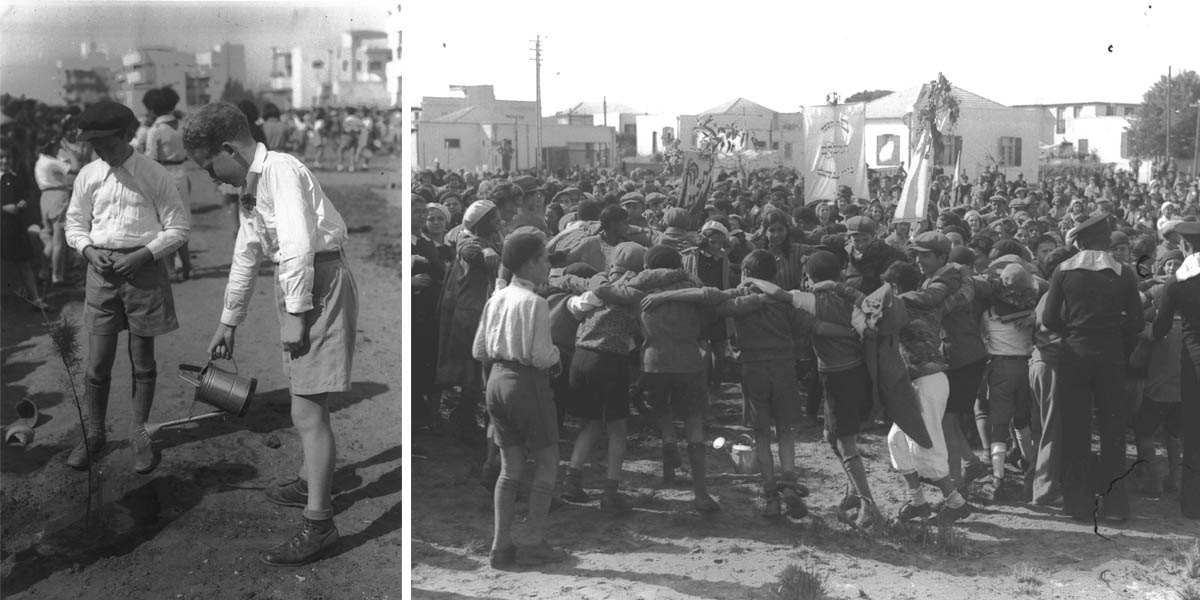 Ту би-Шват в Израиле, 30-е