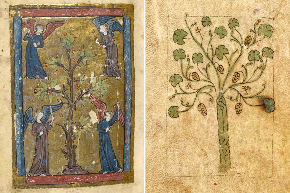 изображения деревьев в Писании