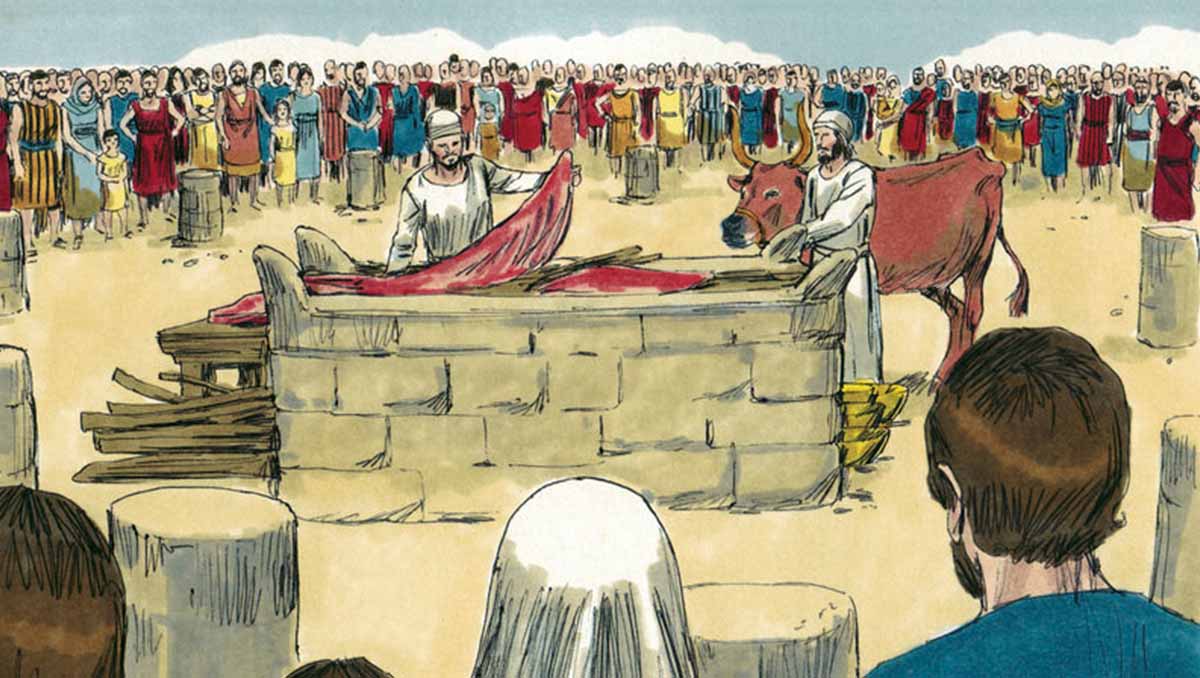 By Distant Shores Media/Sweet Publishing, CC BY-SA 3.0, https://commons.wikimedia.org/w/index.php?curid=18884691