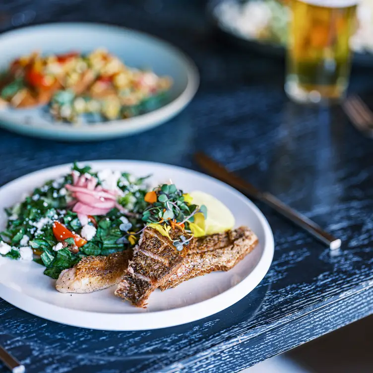 Fish Meal with salad
