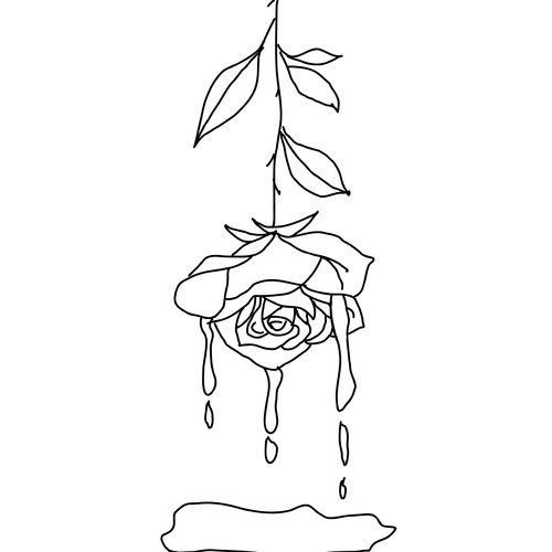 bleeding rose sketch