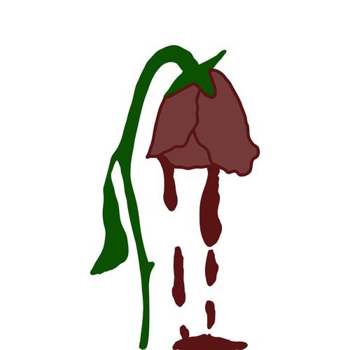 rose bleeding sketch
