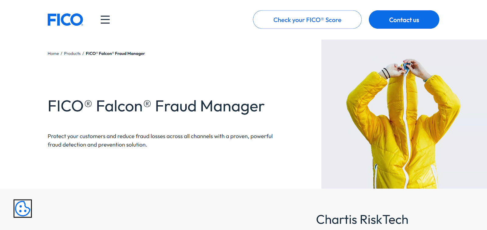 FICO® Falcon® Platform