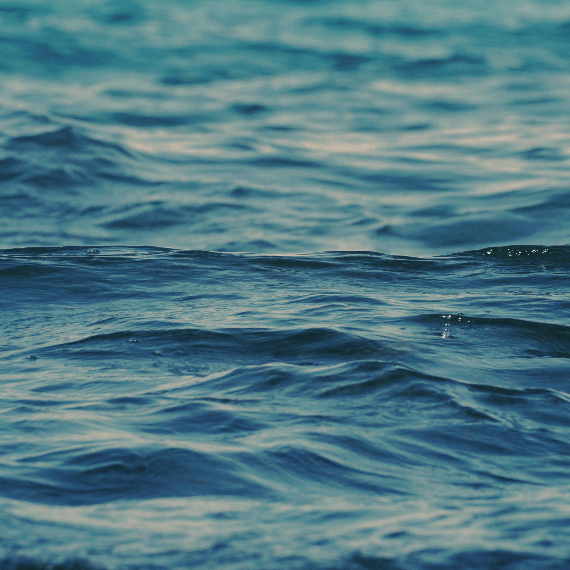 Close-up of gentle ocean water waves under natural light.