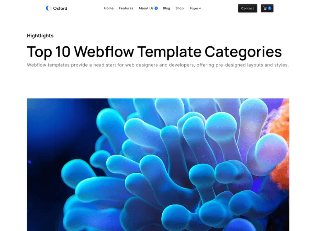 Saas Webflow Template - Oxford - Designed by Azwedo.com and Wedoflow.com