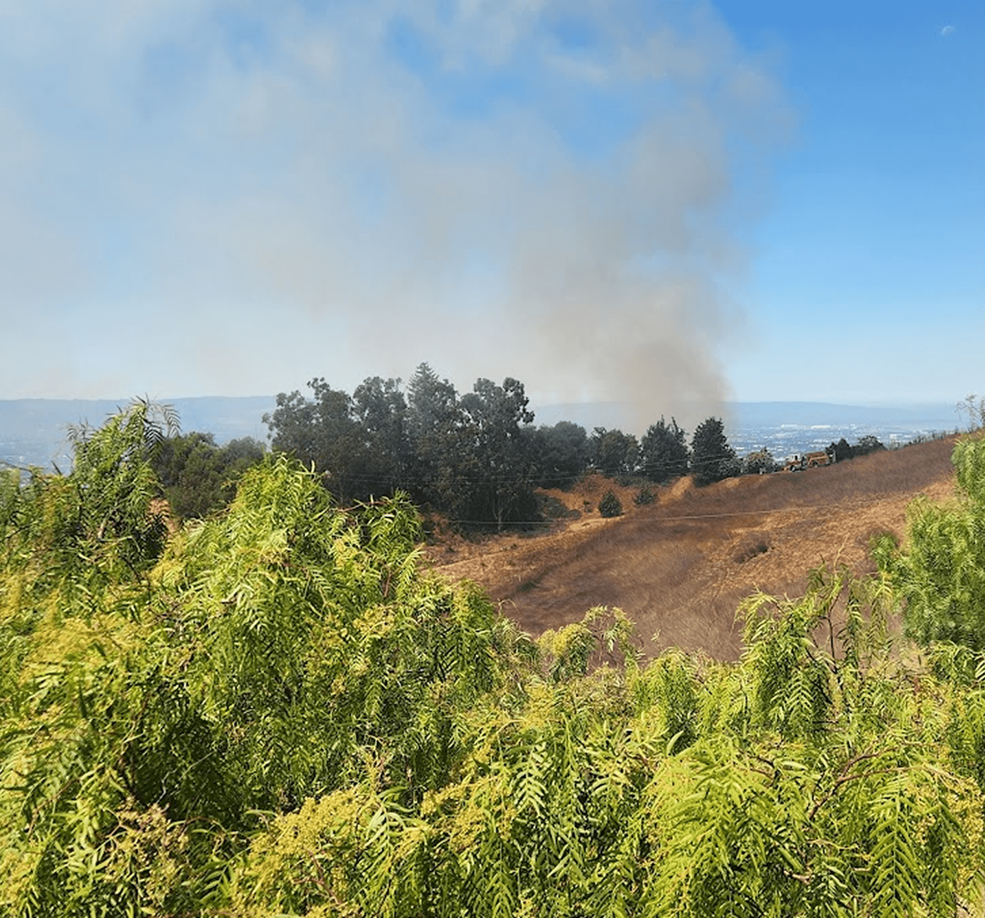 Hillside fire